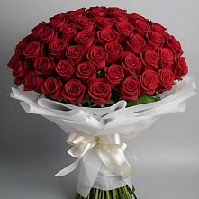 Букет 101 Красная роза Блэк Мэджик #REPLACE_PRED# Туринская Слобода