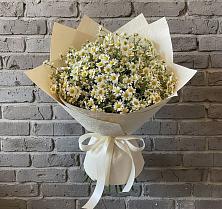 Букет цветов из:  Ромашки #REPLACE_PRED# Туринская Слобода