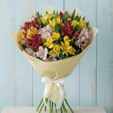 Букет цветов из:  Альстромерии #REPLACE_PRED# Туринская Слобода
