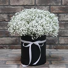 Цветочная композиция из Гипсофила в шляпной коробке #REPLACE_PRED# Туринская Слобода