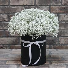 Цветочная композиция из Гипсофила в шляпной коробке в Туринская Слобода