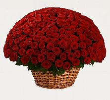 Премиум букет из: Розы #REPLACE_PRED# Туринская Слобода