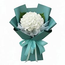 Букет цветов из:  Гортензия #REPLACE_PRED# Туринская Слобода